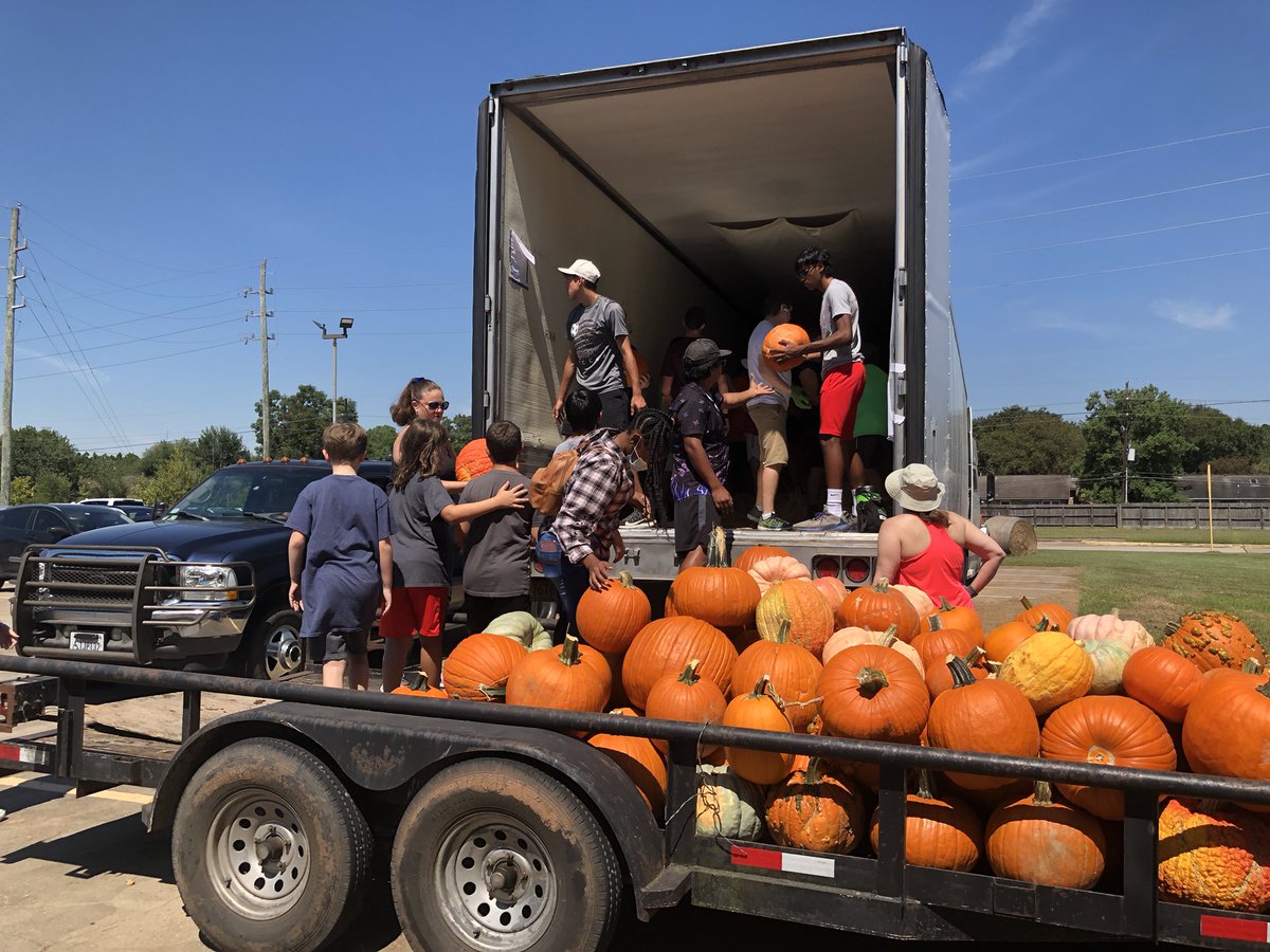 Amanda Kelso tweet media