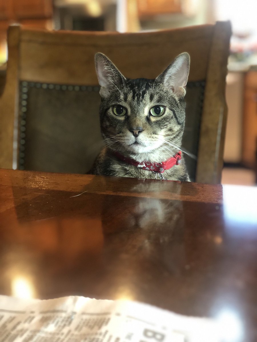 Bob Loblaw tweet media