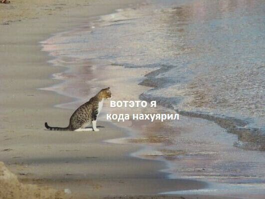 SadFilll tweet picture