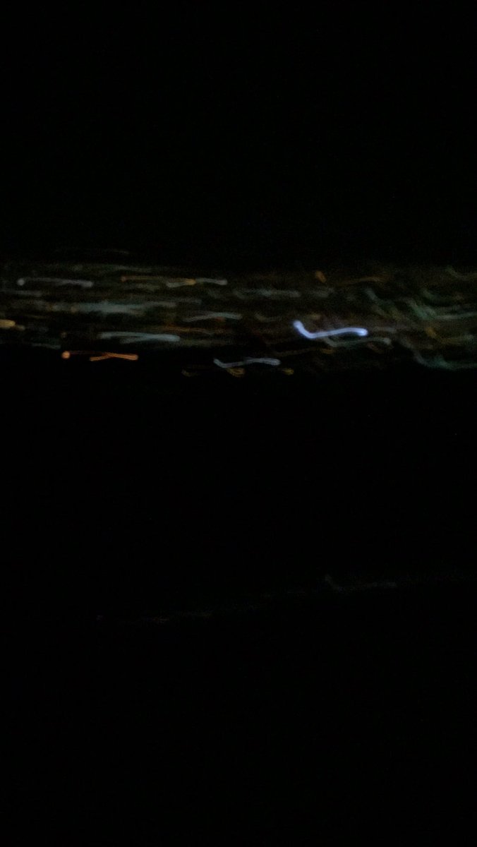 Tepe soguk kuzunelik hava tam 😊