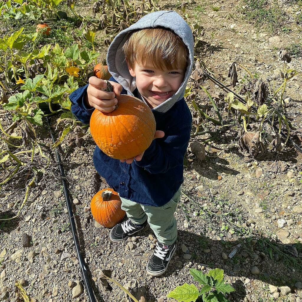 _deliverydave's tweet photo. I usually don’t share my boys on here. But my goodness these are too cute to share! https://t.co/JVL2nh08VR