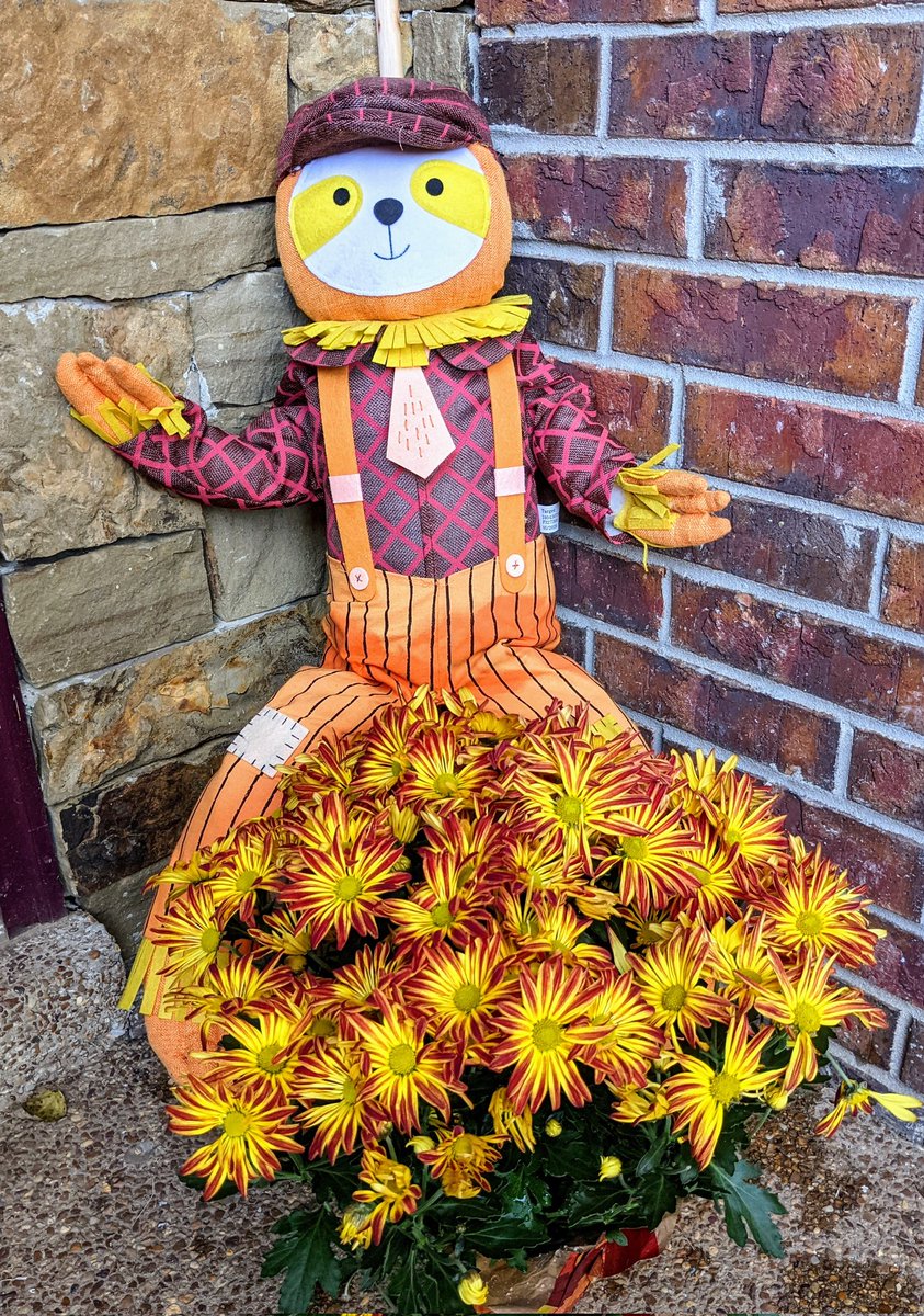 HSES_Librarian's tweet photo. It's officially Fall when the SlothCrow cones out! 🍂🦥 https://t.co/m56TxOfcSz