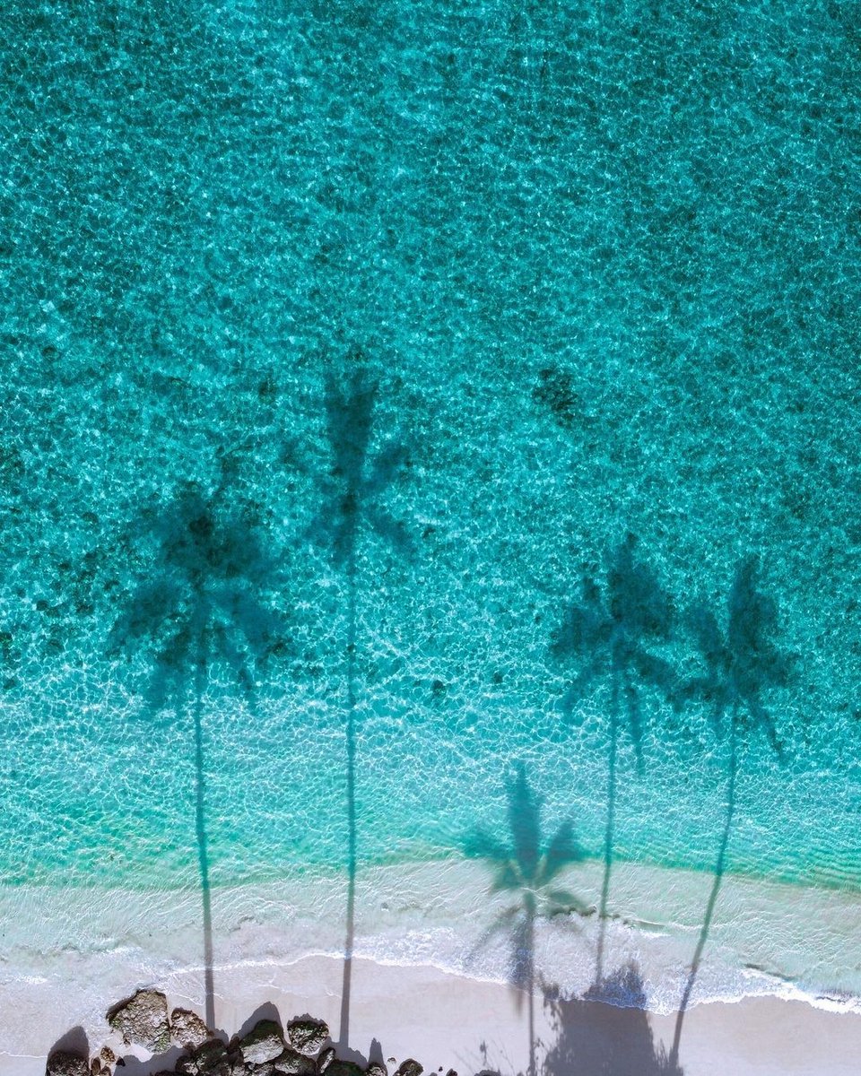 WaikikiShopPlza's tweet photo. Find us under the palm trees. π΄
Your Sunday adventures consist of�
πΈ IG caseybarrick
#waikiki #honolulu #oahu #oahuhawaii #hawaii #lifealoha #alohaoutdoors #alohahuffpost #luckywelivehi #luckywelivehawaii #hawaiiunchained #γγ― #γͺγ’γγγ―γ€#γͺγ’γ #γγγ«γ« #γ―γ€γγ https://t.co/UFs53x4ojs