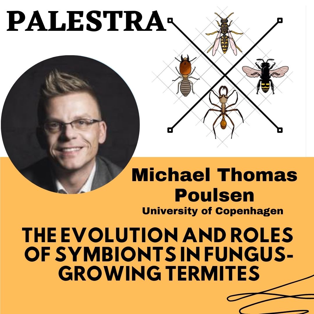 Vworkshopiussi tweet media