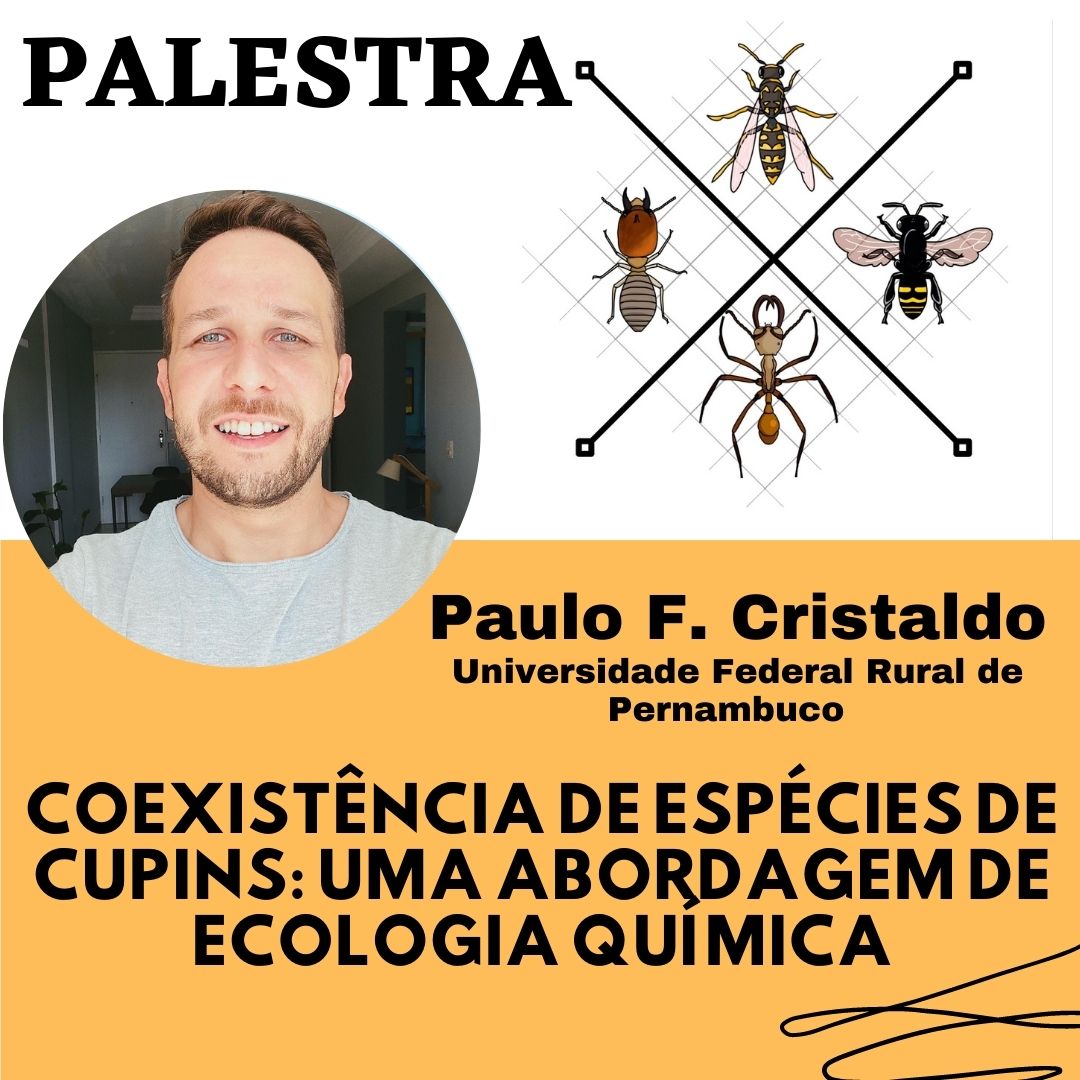 Vworkshopiussi tweet media