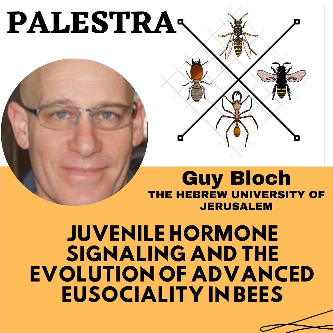 Vworkshopiussi tweet media