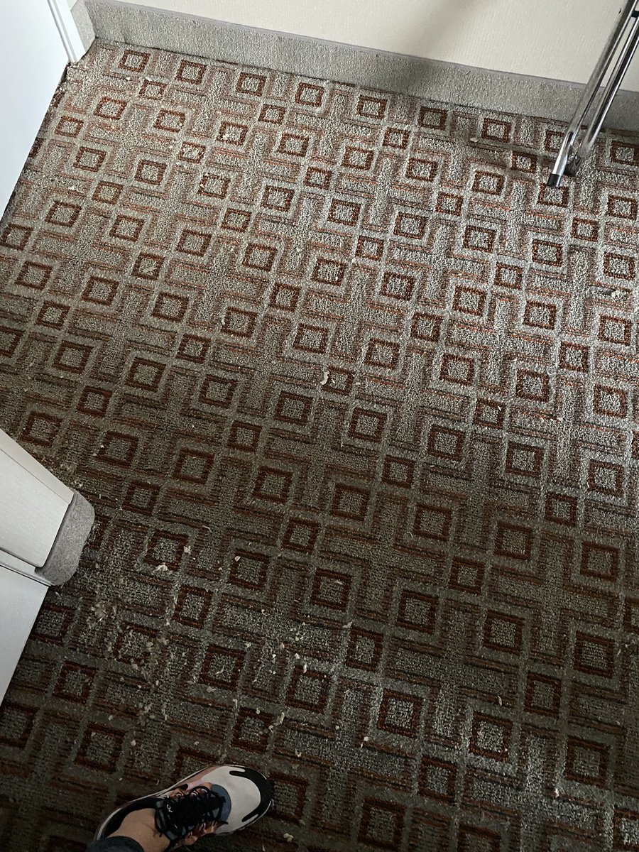 cdieder's tweet photo. @DoubleTree @HiltonHonors I am appalled and shocked by the lies that were told to us after our 3 hotel rooms flooded this weekend. A pipe bursting can happen, not your fault. But telling us nothing got damaged or wet while we were away and coming home to this mess at 12am https://t.co/09TQBjQJK3