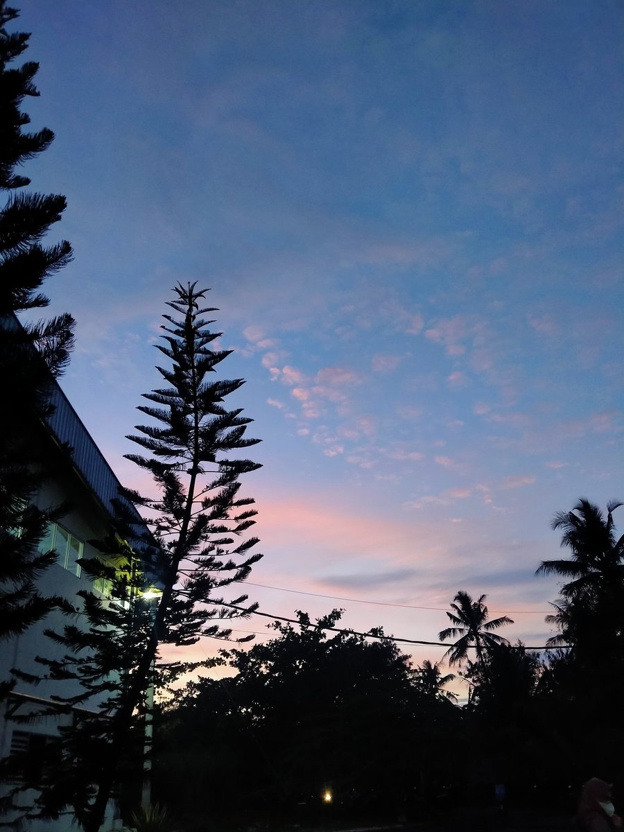 arnsalsabilla's tweet photo. @bertanyarl mix oren https://t.co/D4ndsomVht