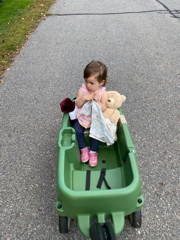 ElizabethCovino's tweet photo. Camp Nokomis bear from her momma goes on all walks. #FutureCamper @mvymca @ftrain11 - save her a spot! https://t.co/GetVa9v6Sh