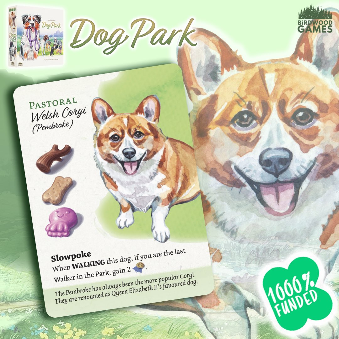 #PaintMyDog #DogParkGame @BirdwoodGames