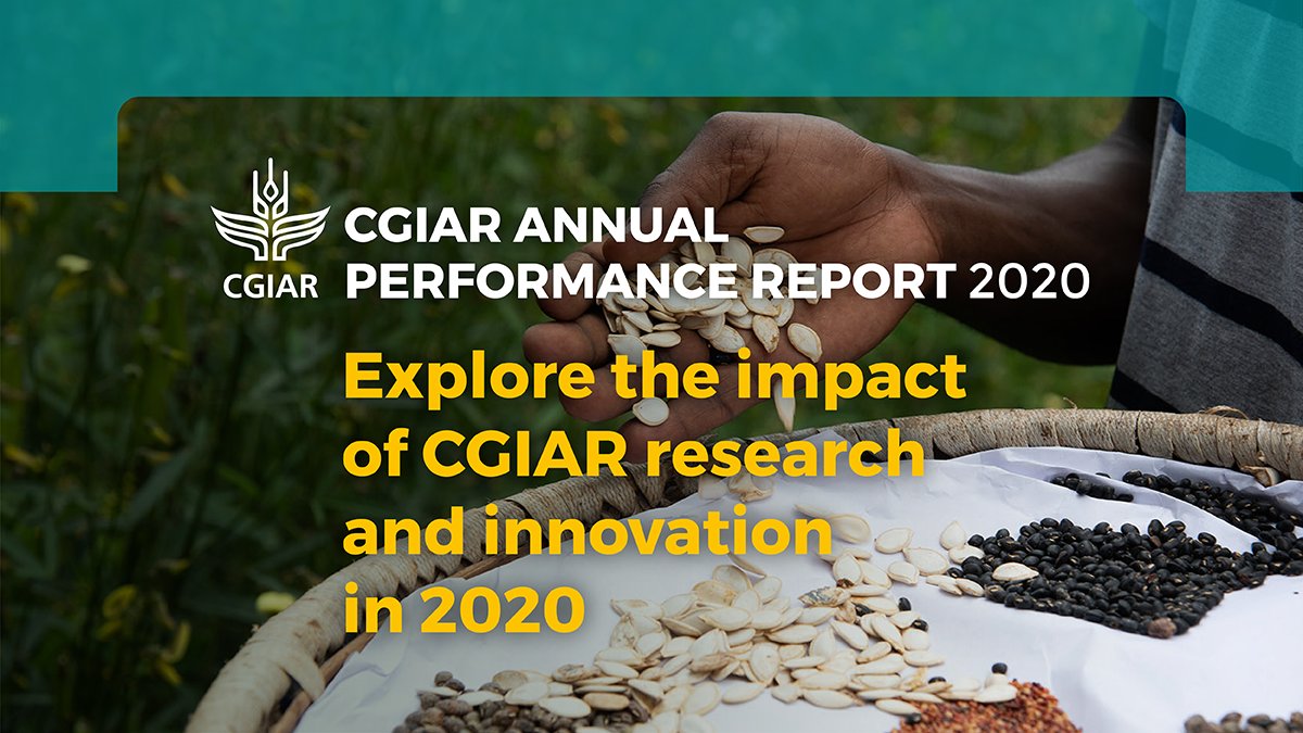 CGIAR's tweet photo. 🌏 In 2020, the CGIAR COVID-19 Hub addressed value chain fractures, #OneHealth approaches, supported country-specific responses and addressed #foodsystems fragilities.
Learn more ➡️ https://t.co/vnteHtniL4
#OneCGIAR #APR2020 https://t.co/uxBqR3Eq9W