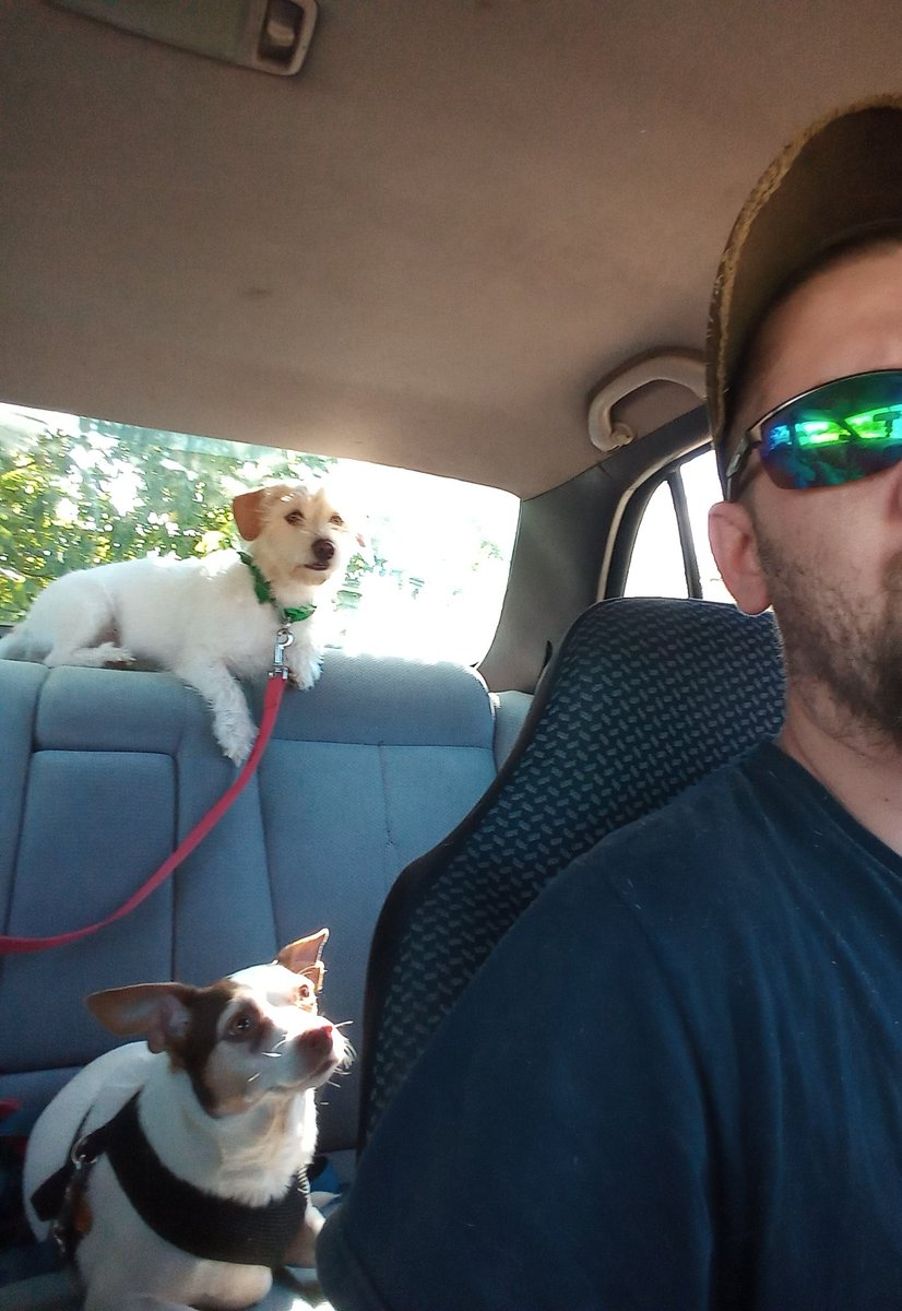 VikingIrishGod's tweet photo. My #furbabies and i
Enjoying a hot box,
Music and the #texasmorning heat❤💯 https://t.co/7Le4xuR5Fs