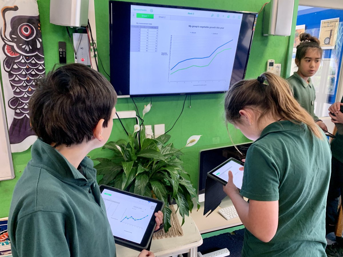 BromleyKoru1's tweet photo. We have been collating the measurement data we have collected in our garden diaries over the year. This morning we interpreted line graph samples together and will be interpreting our own line graphs independently to find out what stories they might tell #bromleyschoolnz https://t.co/dfbBtnb96H