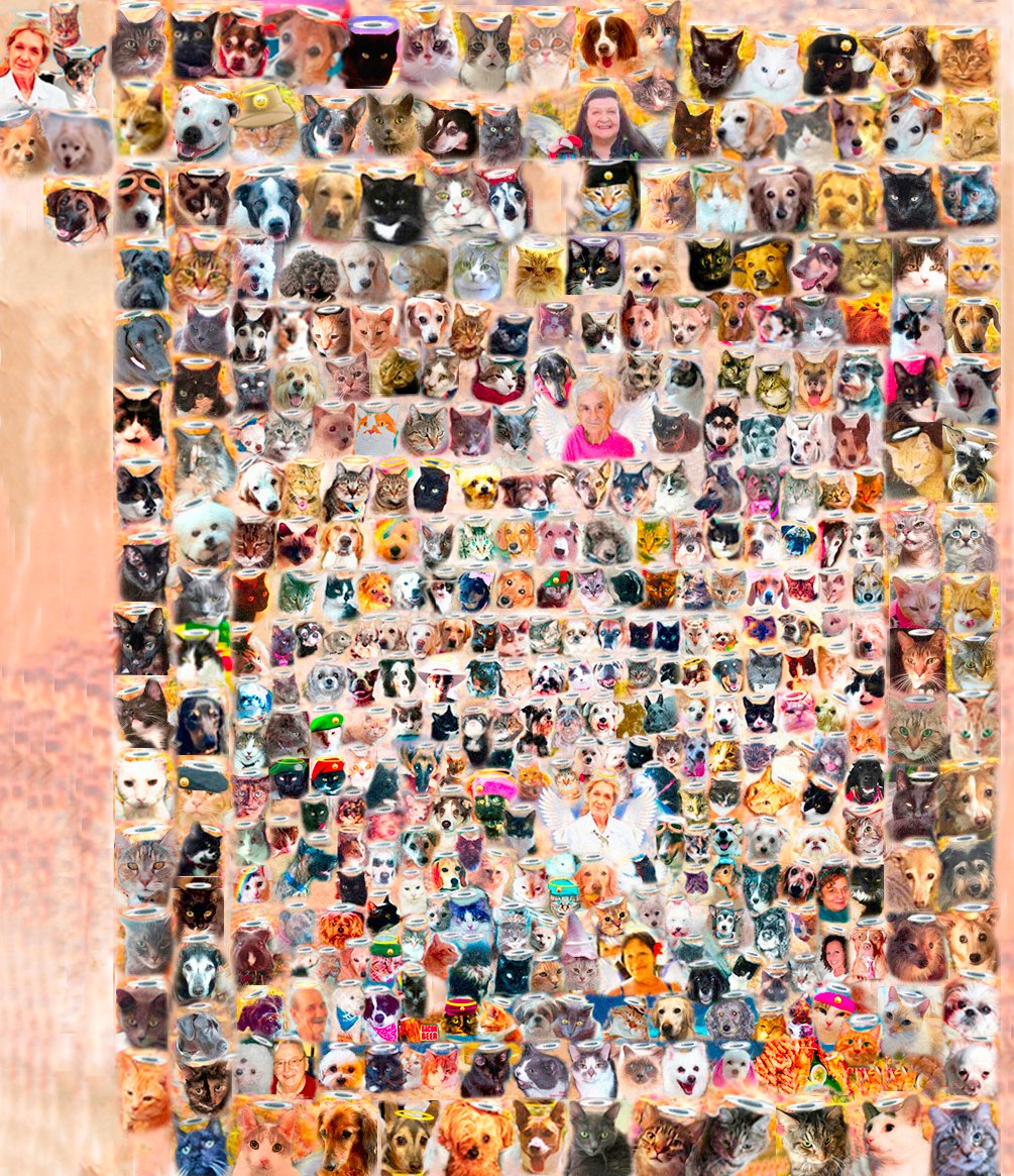 JinJinDoggy's tweet photo. Here, just below #AngelIngrid is our newest beloved #AngelSadie @3phibotticelli . Her sisfur, #AngelPhi has flown over to be next to her always. #Angelgang wraps our wings around them and surrounds them with love. Huge hugs to their dear Mom. Pls click on pic to see them. https://t.co/TPxRfzBGZ1