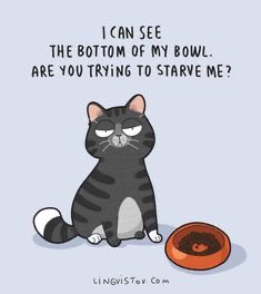 DaisyCatNine's tweet photo. I can relate. https://t.co/VQga93v3hV
