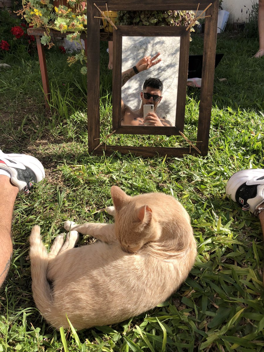 Matird97's tweet image. Mimingi arto como el michi.
#Shitspot