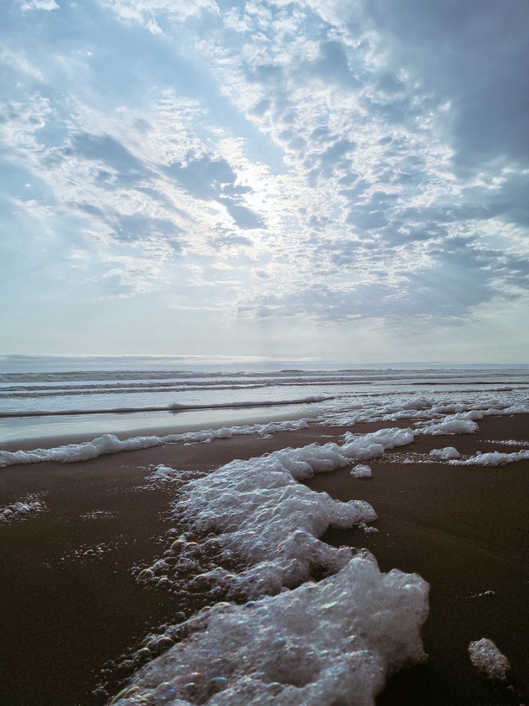 genesisreupomas's tweet photo. Domingo de fotitos en la playa 🌊 #fotografia #diadefotos https://t.co/ijqEoKBPcU