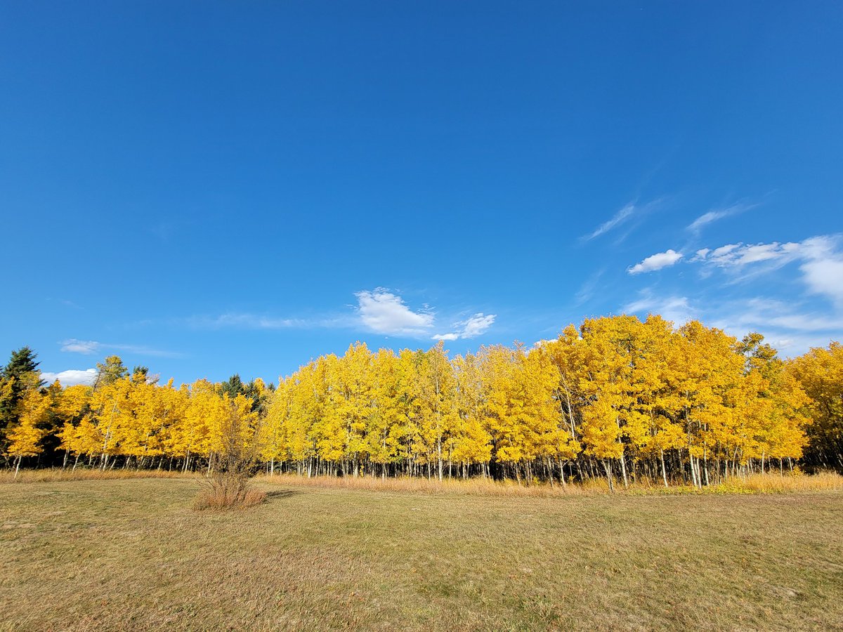 SeanWaites's tweet photo. Welcome Fall. https://t.co/Gy7xqtFBDO