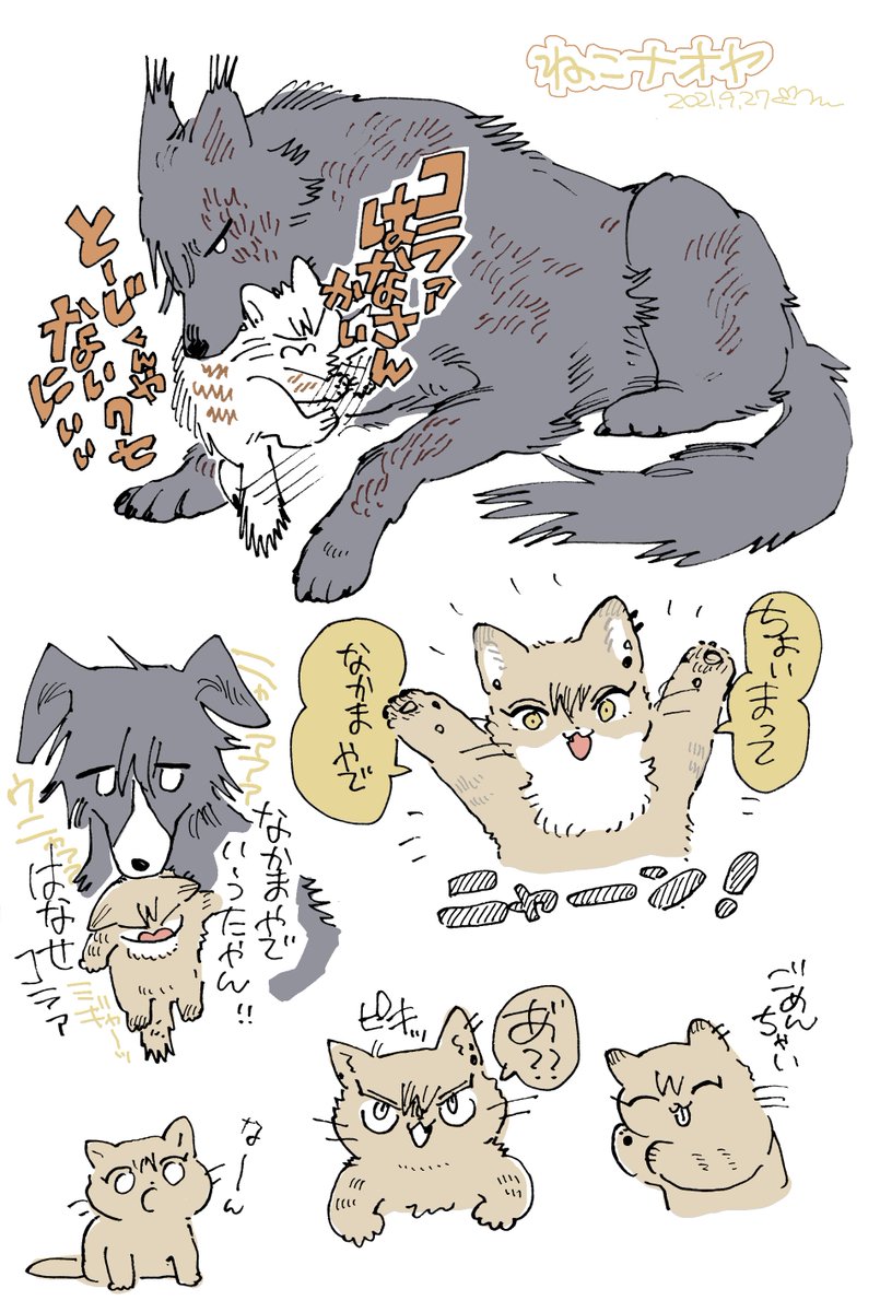 ねこナオヤ(獣化) 