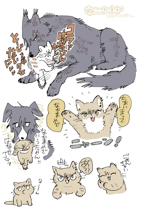 ねこナオヤ(獣化) 