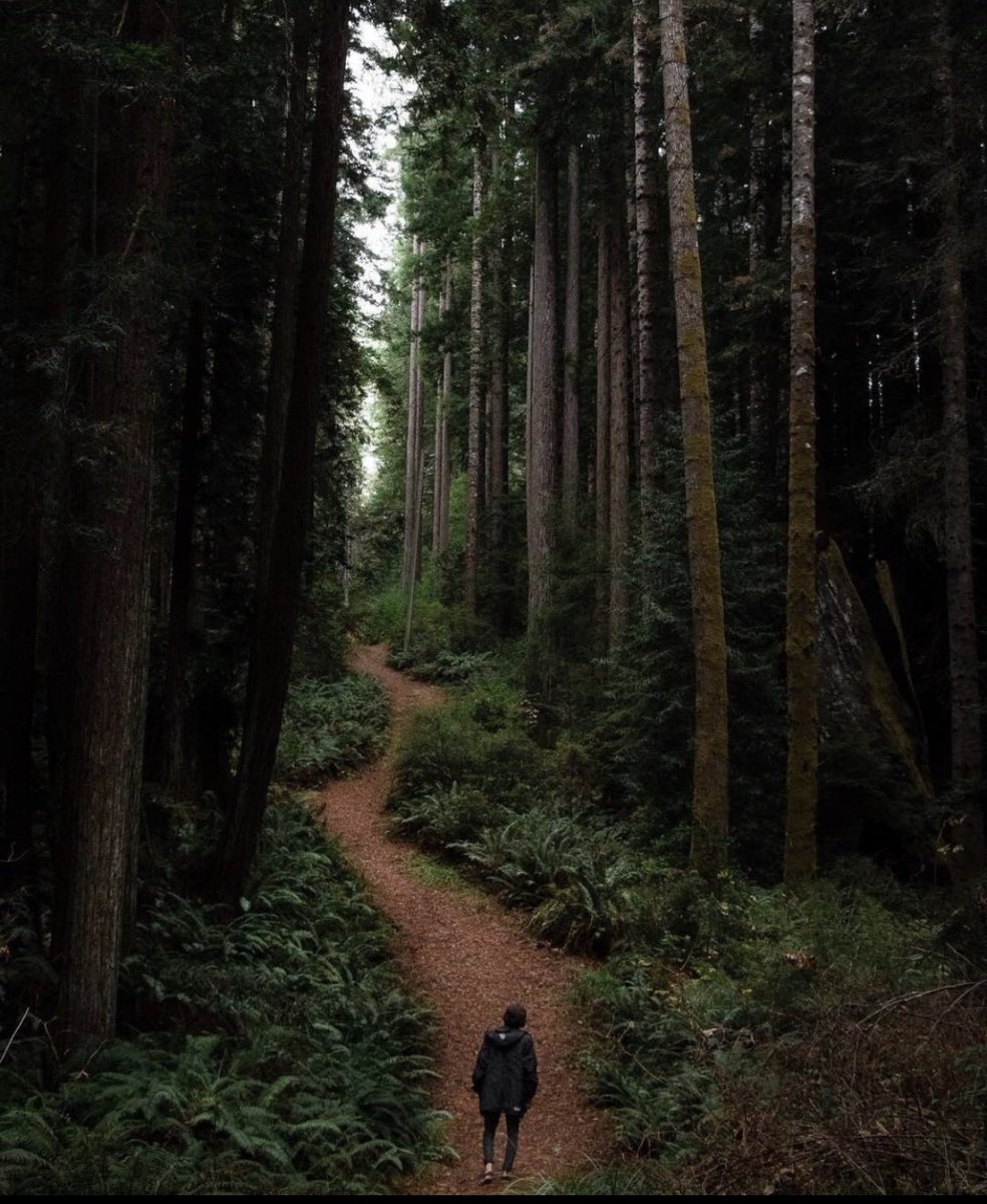 On the Camino of life, the right pace is your pace. The right path is forged by your vision and fortitude. #uncommonengineering <a href="/UCDfootball/">UC Davis Football</a> <a href="/ucdavis/">UC Davis</a>