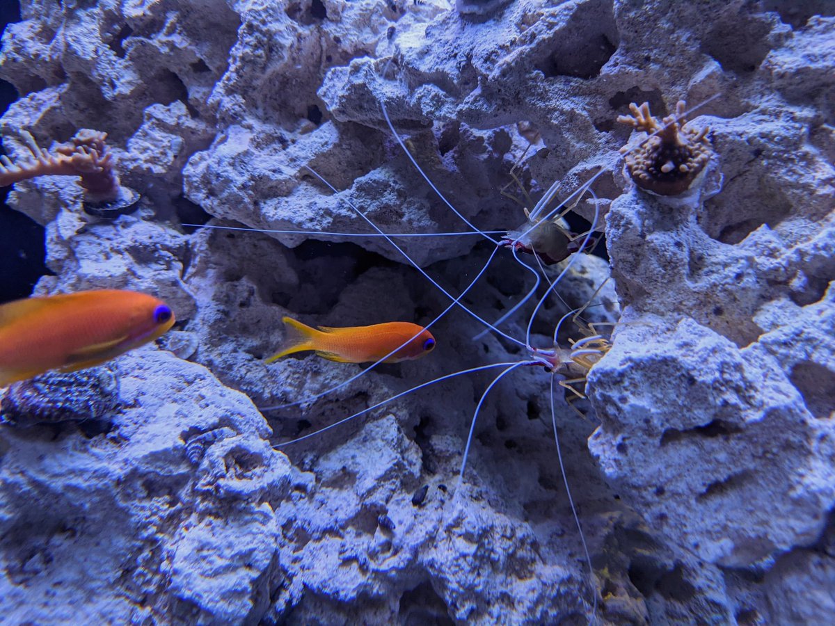 jarroddoherty's tweet photo. I hate it when there's a line #reefbreak https://t.co/SnsHJMOCaD