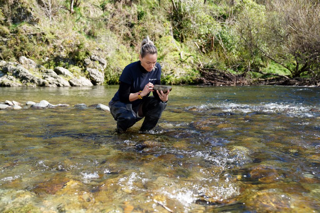OtagoSciComm's tweet image. Kati Doehring is a freshwater ecologist with the Cawthron Institute and a Ph.D. student at the @UniversityofOtago, Centre for Science Communication. Through research and science communication, Kati connects the dots on water quality.
 #ScienceComm21 #waterquality #scicomm