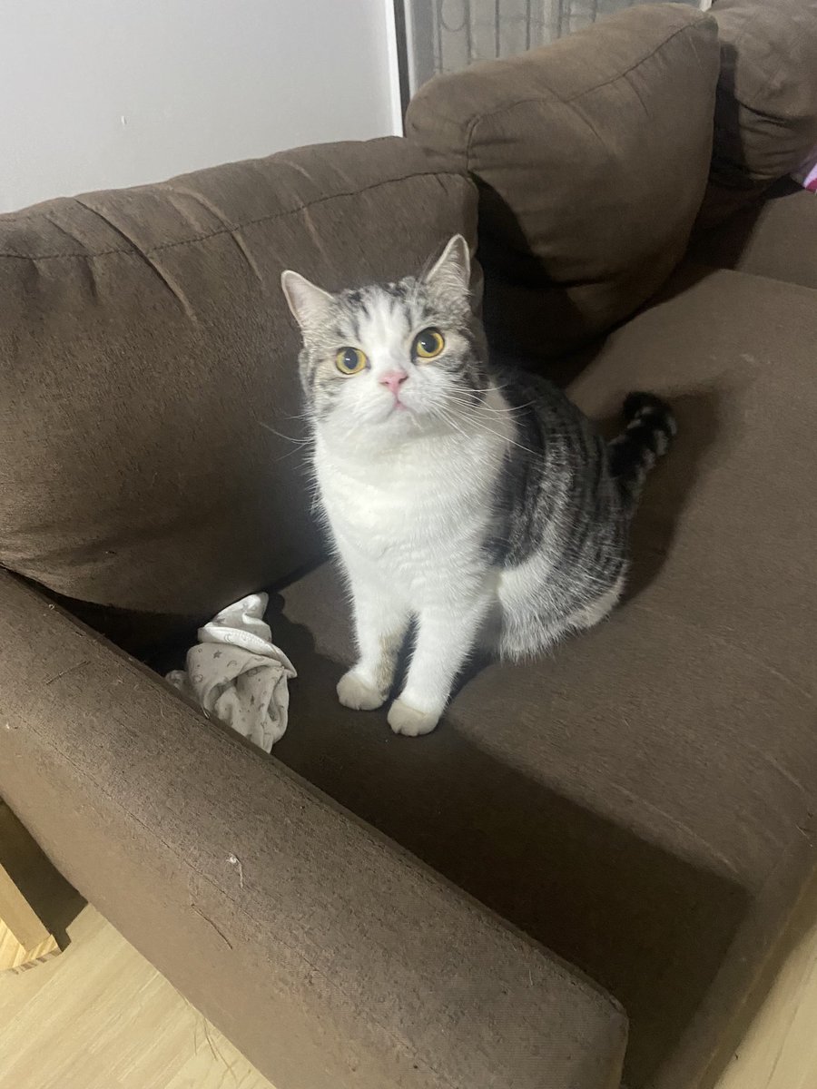 มอเน่งค้าบ