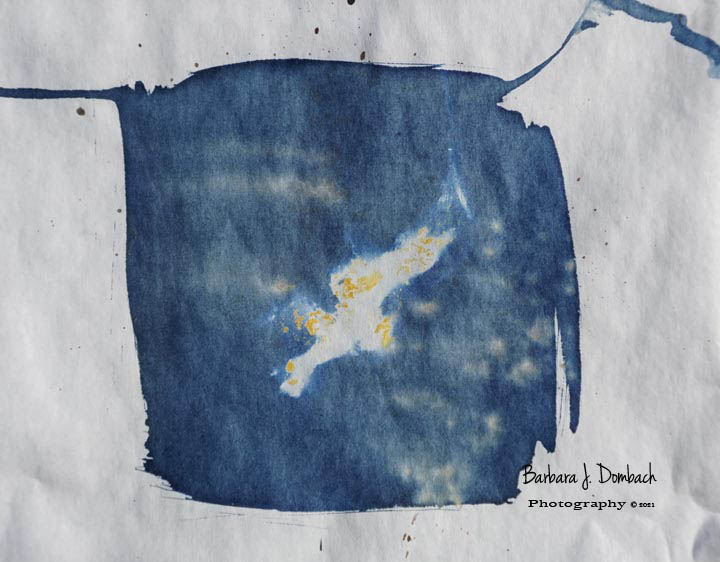 bjdombach's tweet photo. World Cyanotype Day...Sept. 25, 2021
titled: "Bird in Flight"
#worldcyanotypeday https://t.co/ADcO3ELAiZ