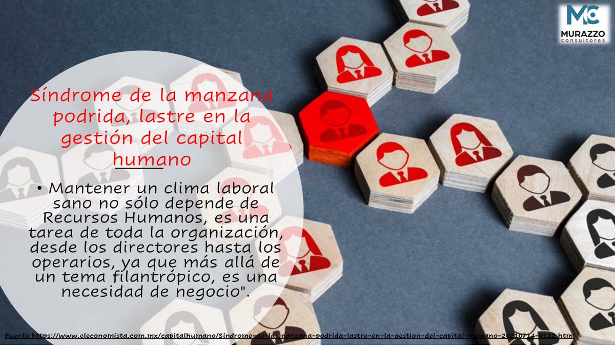 Murazzo_Consult's tweet photo. SÍNDROME DE LA MANZANA PODRIDA, LASTRE EN LA GESTIÓN DEL CAPITAL HUMANO.
¿Cómo podemos detectar a los colaboradores tóxicos? Es importante que las empresas tengan herramientas preventivas como clima laboral, encuestas de satisfacción laboral y entrevistas de reacción uno a uno. https://t.co/NuXu8ecUfp