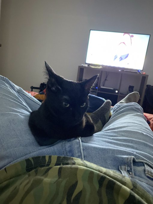@MissJasper2page https://t.co/Y6JUpteCuH<a class="tags" target="_blank" title="On Twitter" href="/?out=eyJ0eXAiOiJKV1QiLCJhbGciOiJIUzUxMiJ9.eyJpYXQiOjE3MjYwMzI0MzksImlzcyI6InR3cG9ybnN0YXJzLmNvbSIsIm5iZiI6MTcyNjAzMjQzOSwiZXhwIjoxNzU3NTY4NDM5LCJyZWRpcmVjdF91cmwiOiJodHRwczovL3R3aXR0ZXIuY29tL01pc3NKYXNwZXIycGFnZSJ9.DsqGNHCHpbKq-f-7WP1OKl4_gIxiHhWDuJwCsmyZdcRIdkCOojsHoy_NEUkL-YGp1rbl2WmvBcbxf_0BF8tmaw">@MissJasper2page</a><a href="/tag/tattoo"class="tags"><span>#tattoo</span></a><a href="/tag/loving"class="tags"><span>#loving</span></a><a href="/tag/coverup"class="tags"><span>#coverup</span></a><a href="/tag/eyeofra"class="tags"><span>#eyeofra</span></a>
