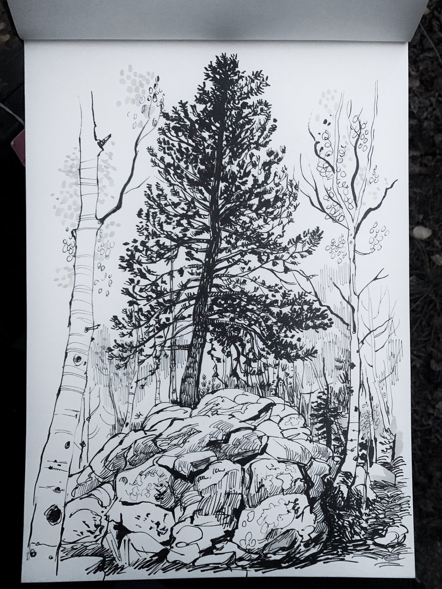 Sketching among the aspen and pines outside our cabin near Jefferson, Colorado. Caught by Linda and the kids. 