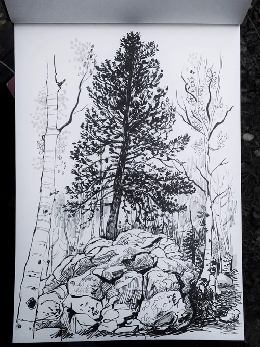 Sketching among the aspen and pines outside our cabin near Jefferson, Colorado. Caught by Linda and the kids. 
