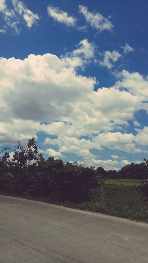 rosa_ceaeee's tweet photo. Tell all your worries to the clouds, they might cry for you🌥 https://t.co/dJ1x0tTD1K