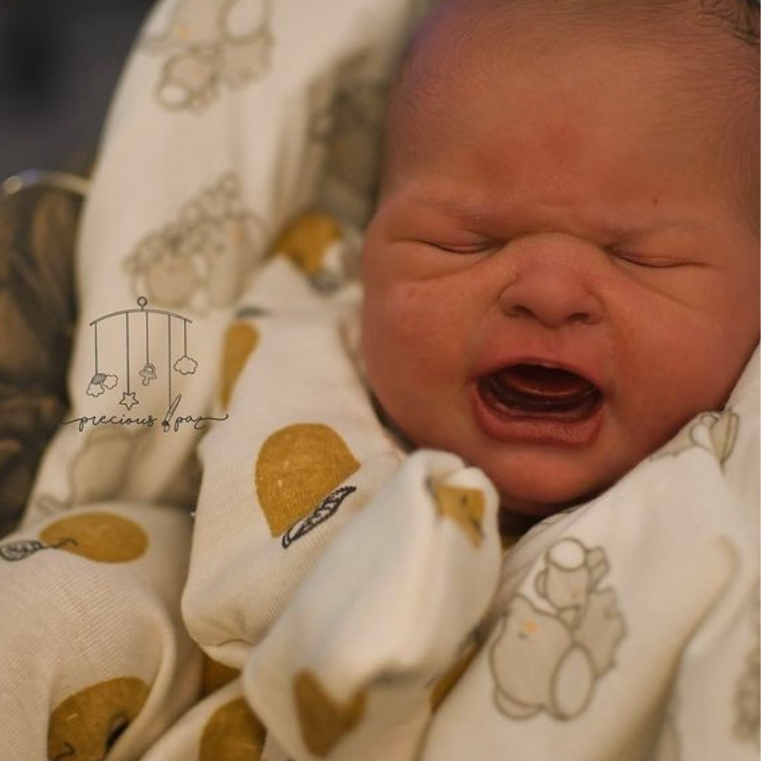 RebornAll's tweet photo. Let's throw a big round of applause for today's reborn artist: Holly Paz 
@precious_paz 👏 🧑‍🎨 ✨
    
** For more information about reborn dolls and reborn community, please visit us at https://t.co/FhZU9h1MpJ ** https://t.co/2RpTnHiyai