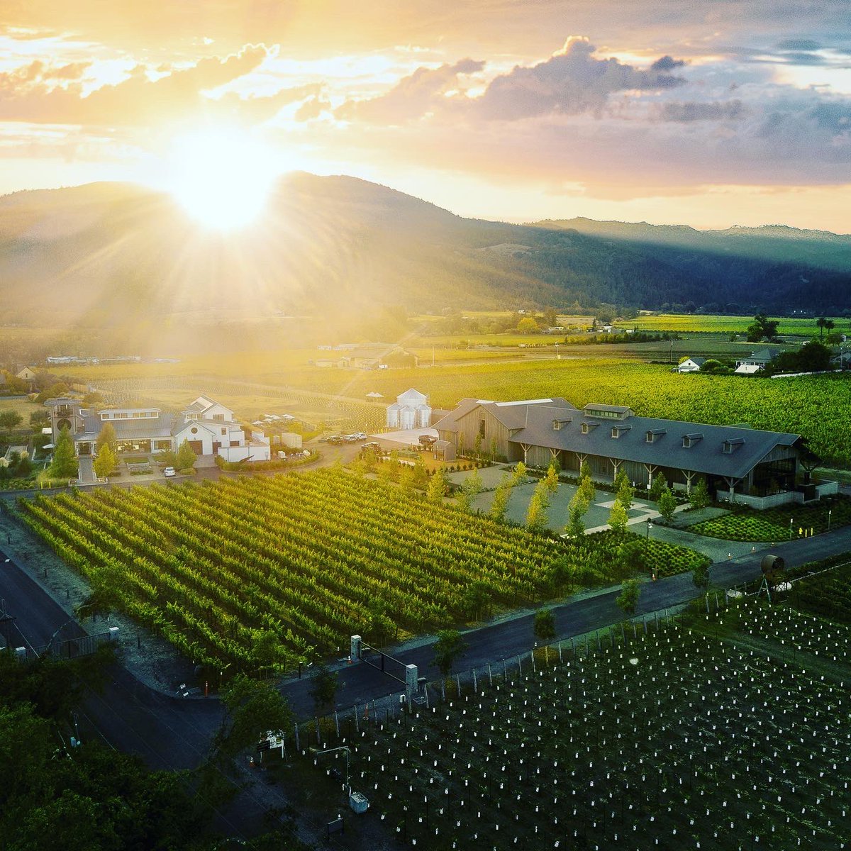 chengmatt's tweet photo. Come to visit @ONEHOPEWINE  our beautiful and meaningful winery in Napa Valley! Super proud of my dear friend and partner @JakeKloberdanz who has made onehope one of the most successful D2C wine brand in the world and brought social enterprise to the completely different level🥂 https://t.co/oFnV2WszDj