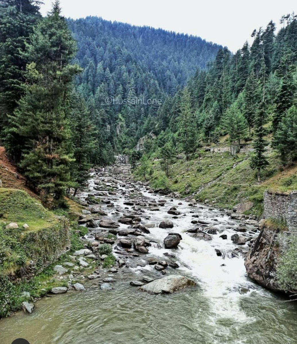 AnjaSha60246233's tweet photo. #poonch ,the city of seven lakes
#shrunzfall #jkonline
#duro so pore
#morningvibes #WorldTourismDay2021 #JammuAndKashmir #indianarmy 
Beautiful place on earth..#PeacefulJammuandKashmir https://t.co/13mIv5yrtf