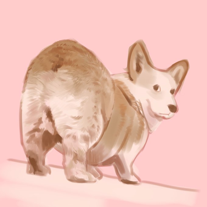 コーギー 高画質 のtwitterイラスト検索結果 コーギー 高画質 のtwitterイラスト検索結果