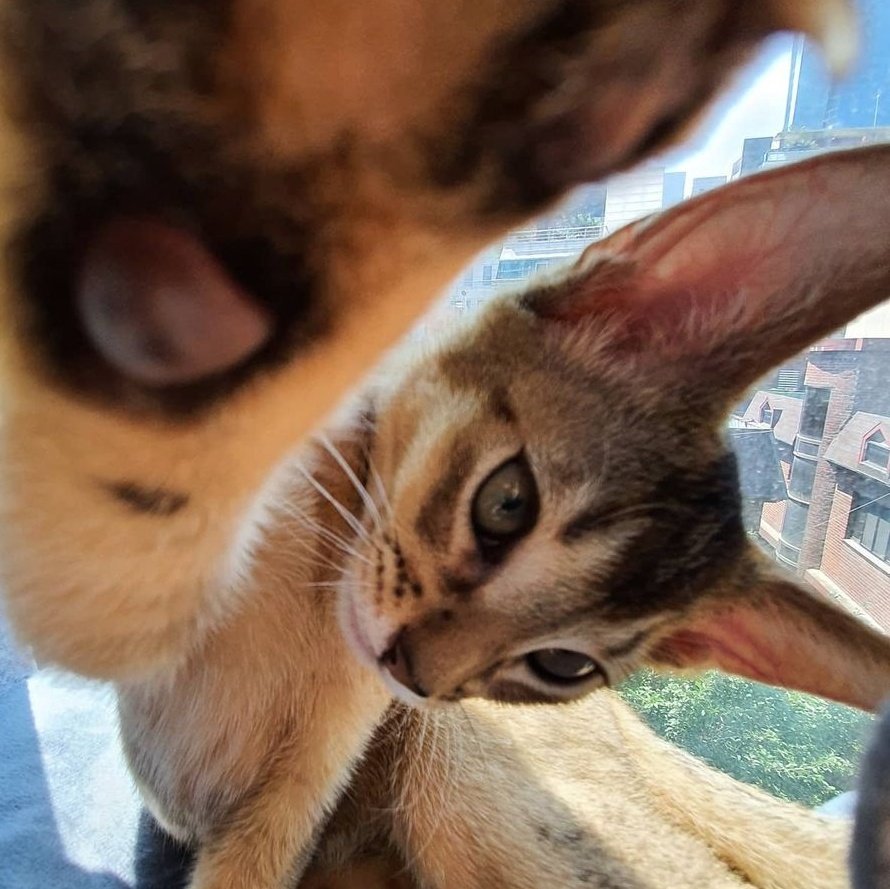 nct_menfess's tweet image. NCT!
father                         son