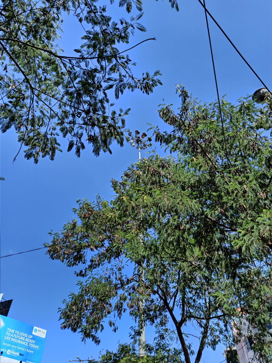 ImNtesh's tweet photo. Brightening Monday
#Guwahati
@guwahatiplus @guwahaticity https://t.co/QRWRpu7X4A