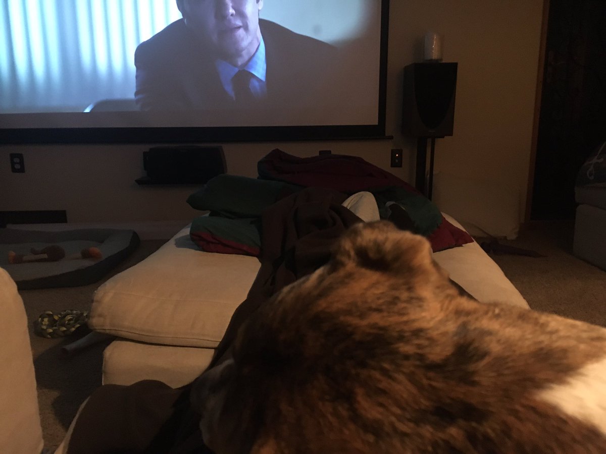 hawk4075's tweet photo. Pretty sure it’s illegal in 7 states to get up when a dog is passed out on you .
#guard_dog
#Spanish_Mastiff https://t.co/9wNqU6KSSF