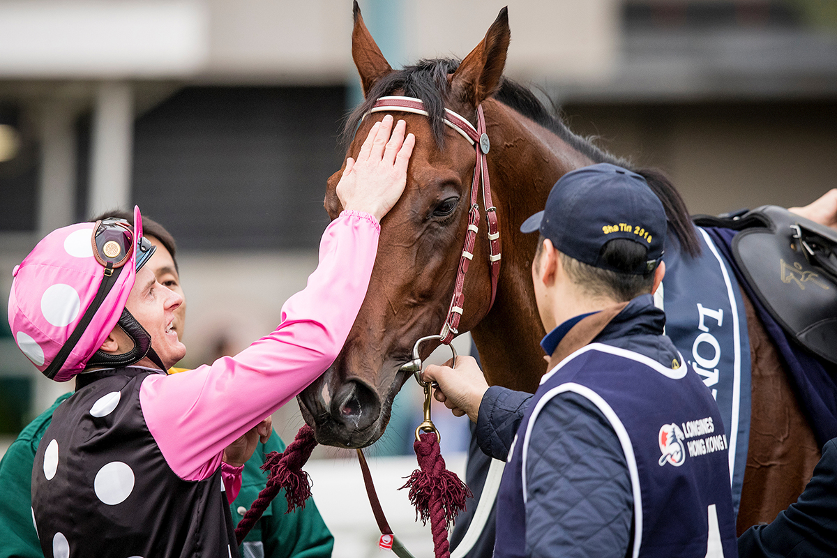 Happy Birthday, champ! 💖🖤

Beauty Generation, Hong Kong's record-setting superstar, turns nine today. #HKracing