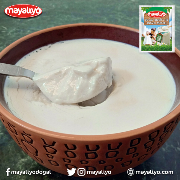 Yoğurt mayasının sunduğu faydaların yanı sıra Bifobacterium ve Lactobacillus acidophillus dost probiyotik bakterilerini de içeren Mayalıyo Probiyotik Yoğurt Mayası ile evde lezzetli ve doğal probiyotik yoğurt yapabilirsiniz. #mayalıyo #doğal #probiyotik #yoğurt #maya #sağlık