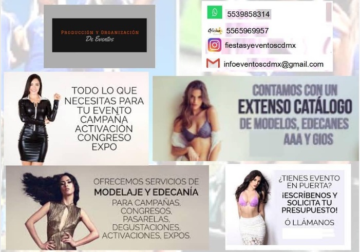 agencia_models's tweet photo. #Modelos #Edecanes Nacionales y Extranjeras en todo el país.
Servicios de imagen foto, #pasarela #llamados en la #CDMX y el resto de país
#Gios #Animadores #Zanqueros #Sampling #Volanteros.
#RobotsLed #SkyDancer #Actores #extras #actoresderiesgo #Expos
#Whatsapp 5539858314 https://t.co/rTbeuJg09j