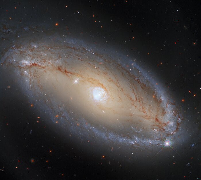 Cron_Silenzio's tweet photo. #NGC5728, una galassia a spirale a circa 130 milioni di anni luce dalla Terra. Questa immagine è stata acquisita utilizzando la Wide Field Camera 3 (#WFC3) di #Hubble, ma NGC5728 è anche un tipo galassia di #Seyfert, con nucleo galattico attivo (#AGN) https://t.co/8NgpzdMjdS