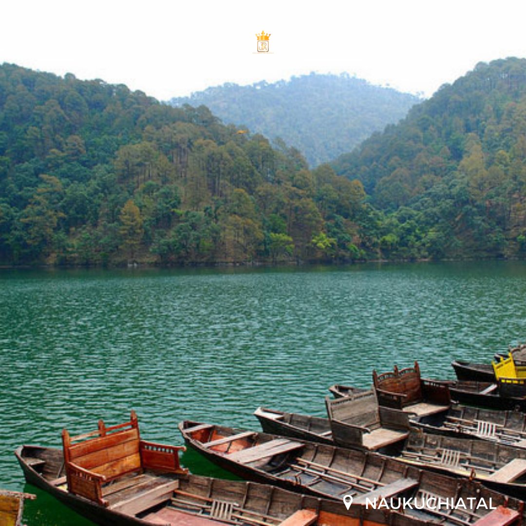 HotelsJsr's tweet photo. Today is #worldtourismday. Here are some of the best locations around Uttarakhand.
#JSRInn #JSRGroupofHotels #WorldTourismDay      #uttarakhandtourism #uttarakhandtravellers #travelandtourism #indiaunindiscovered #himalayas  #chakrata #dehraduntourism #incredibleIndia #wanderlust https://t.co/9IpnXURDrU