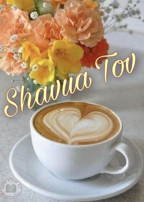 csilvi72's tweet photo. @19Myriam91 @lizBeth_Hineni @TheJForJoM @BaaadJuJu @cakito2 @LeviSharonrose @RicciGeri @07shari22 @lackboys3 @AngelicaKamen @Tsipora777 @ada_ziv @JewhadiTM @EBluemountain1 @xandraax @JUBILEE_7DOUBLE @russianjewess @kphilley1 @QUEEN_ESTER_ @Donmel21 @CurtiusMarieke @Ibutterfly34 @vafairman @Esther28007 @JewsMatterToMe @jewishladyblog @SarahLa85885259 @DeborahProudJew @RozRothstein #ShavuaTov Umeborach chaverim, have a great day ahead. #MoadimLSimcha #SimchaTorah https://t.co/03BASiq8UY