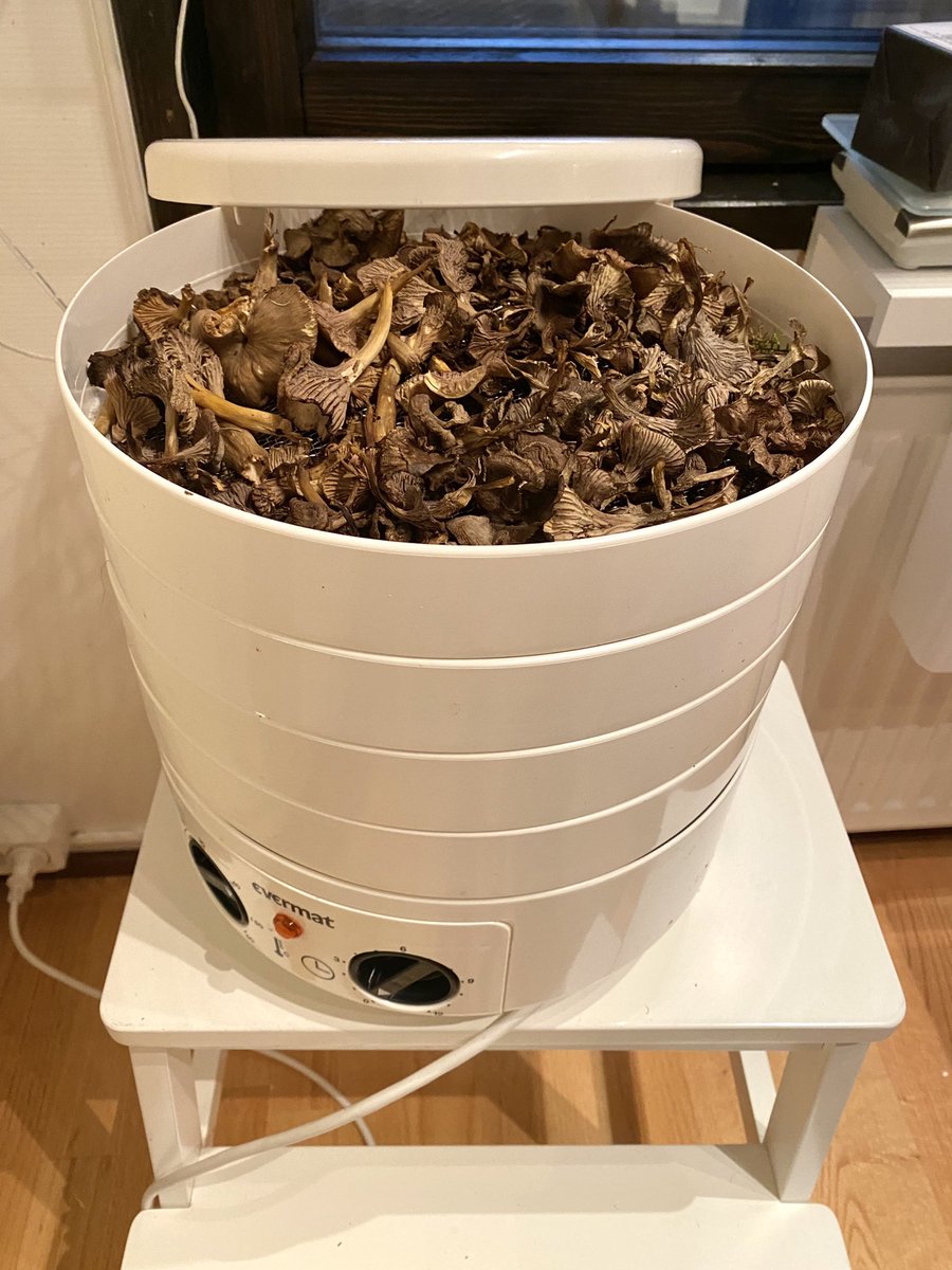 LaihoKuutamo6's tweet photo. Suppilovahveroita on puhdistettu ja kuivattu. Seuraava erä odottaa kuivaamista. https://t.co/dACAxgtUHG