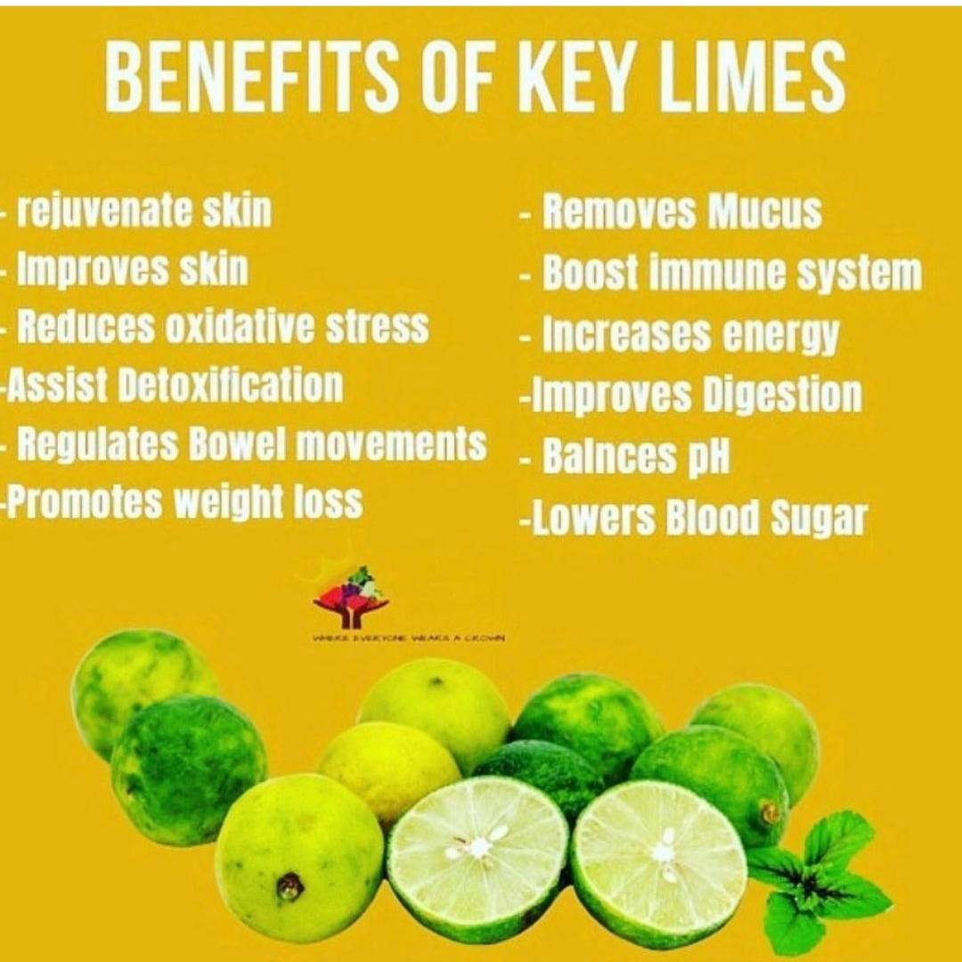 iuicoakland's tweet photo. Learn more at #iuic #bayarea #oakland #black #africanamerican #Hispanic #mexican #nativeamerican #nativeindian #food #herbs #keylimes https://t.co/vIfQwrQ9iE