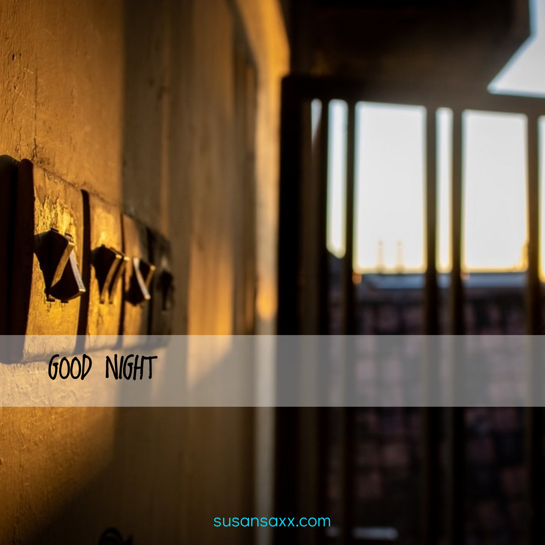 SusanSaxx's tweet photo. 🎆 The night approaches. 🌛 🌓                                                                       🧚‍♀️ #nighttime #night #dark #moon #goodnight #sleep #bedtime #moonlight #sleepy #nightsky #nightynight #bed #stars #lightsout #sky #nightowl #rest #sleepyhead #saxx #susansaxx https://t.co/KhPdfRqOBX